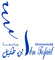 جامعة ابن طفيل